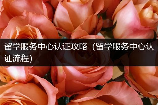 留学服务中心认证攻略（留学服务中心认证流程）