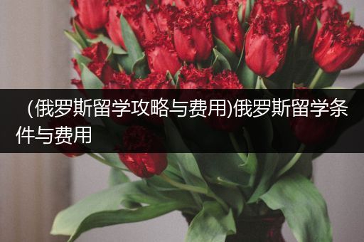 （俄罗斯留学攻略与费用)俄罗斯留学条件与费用
