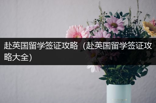 赴英国留学签证攻略（赴英国留学签证攻略大全）