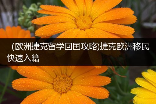 （欧洲捷克留学回国攻略)捷克欧洲移民快速入籍
