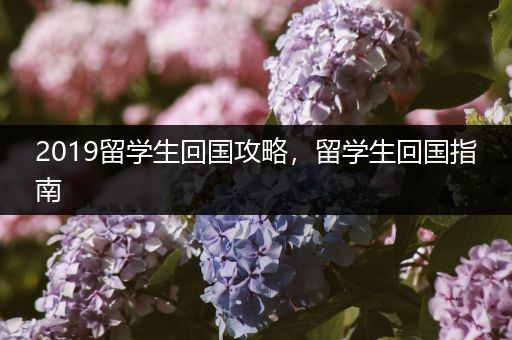 2019留学生回国攻略，留学生回国指南
