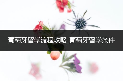 葡萄牙留学流程攻略_葡萄牙留学条件