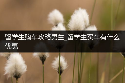 留学生购车攻略男生_留学生买车有什么优惠