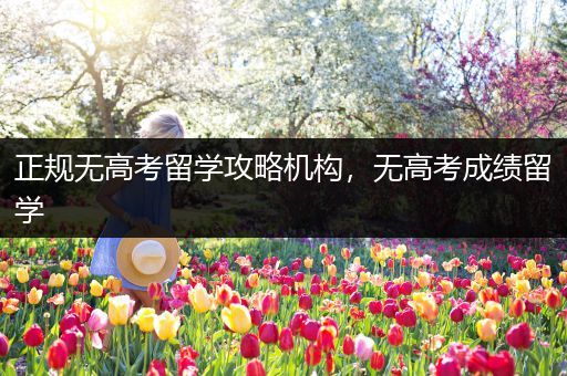 正规无高考留学攻略机构，无高考成绩留学
