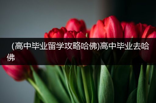 （高中毕业留学攻略哈佛)高中毕业去哈佛