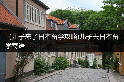 （儿子来了日本留学攻略)儿子去日本留学寄语