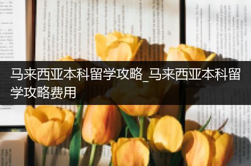 马来西亚本科留学攻略_马来西亚本科留学攻略费用