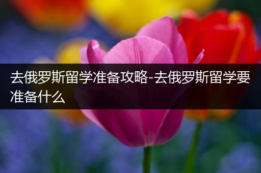 去俄罗斯留学准备攻略-去俄罗斯留学要准备什么