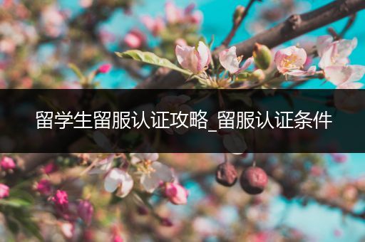 留学生留服认证攻略_留服认证条件