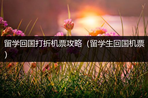 留学回国打折机票攻略（留学生回国机票）