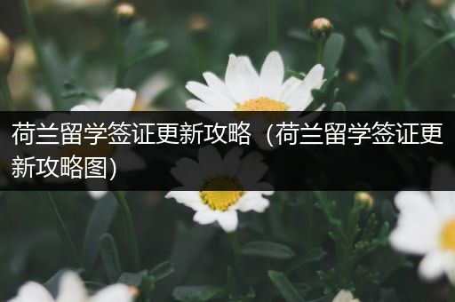 荷兰留学签证更新攻略（荷兰留学签证更新攻略图）