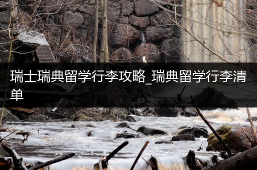 瑞士瑞典留学行李攻略_瑞典留学行李清单