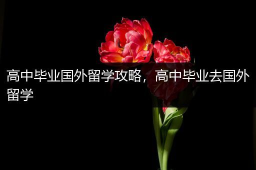 高中毕业国外留学攻略，高中毕业去国外留学