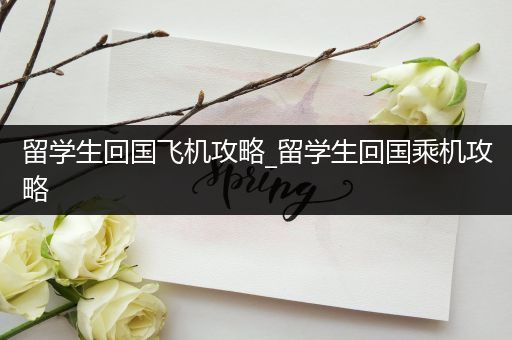 留学生回国飞机攻略_留学生回国乘机攻略
