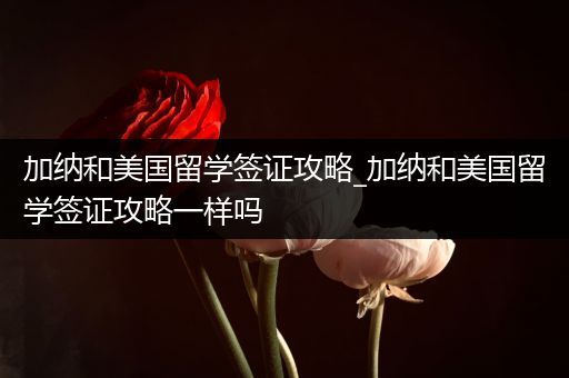 加纳和美国留学签证攻略_加纳和美国留学签证攻略一样吗