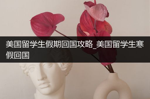 美国留学生假期回国攻略_美国留学生寒假回国