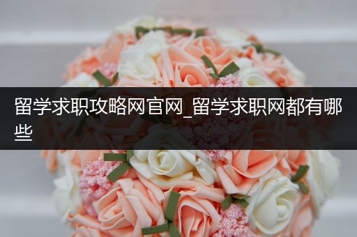 留学求职攻略网官网_留学求职网都有哪些