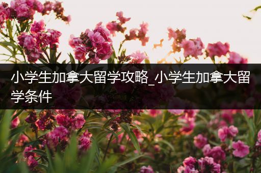 小学生加拿大留学攻略_小学生加拿大留学条件