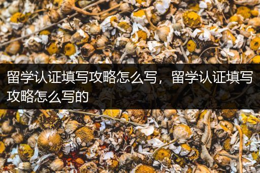 留学认证填写攻略怎么写，留学认证填写攻略怎么写的