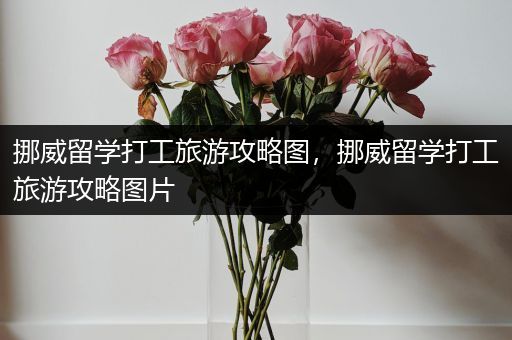 挪威留学打工旅游攻略图，挪威留学打工旅游攻略图片