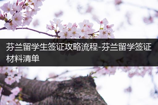芬兰留学生签证攻略流程-芬兰留学签证材料清单