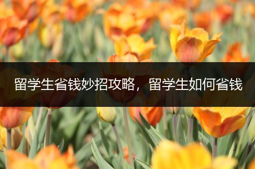 留学生省钱妙招攻略，留学生如何省钱