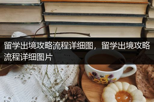 留学出境攻略流程详细图，留学出境攻略流程详细图片