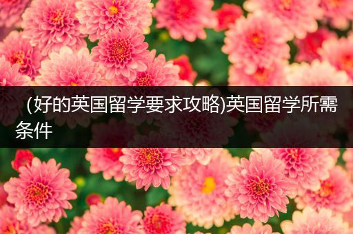 （好的英国留学要求攻略)英国留学所需条件