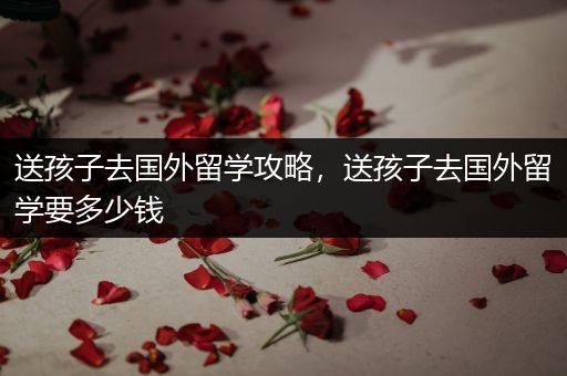 送孩子去国外留学攻略，送孩子去国外留学要多少钱