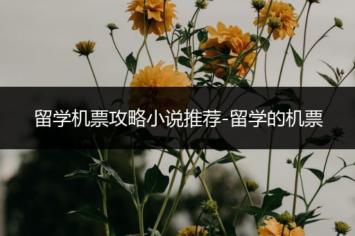 留学机票攻略小说推荐-留学的机票