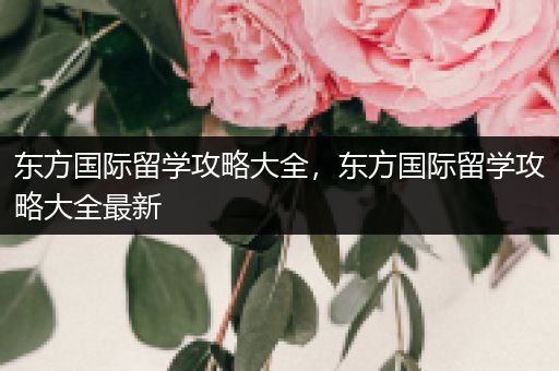 东方国际留学攻略大全，东方国际留学攻略大全最新