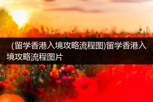 （留学香港入境攻略流程图)留学香港入境攻略流程图片