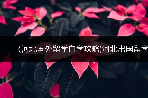（河北国外留学自学攻略)河北出国留学