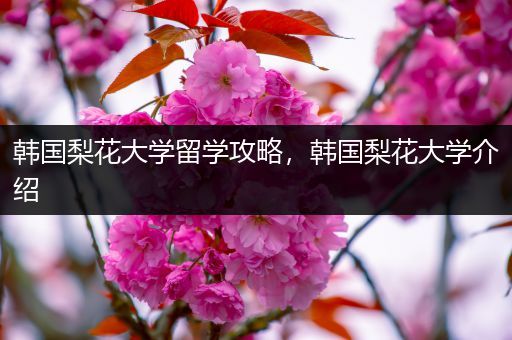 韩国梨花大学留学攻略，韩国梨花大学介绍