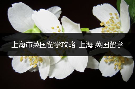 上海市英国留学攻略-上海 英国留学