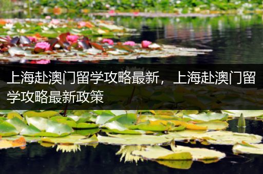 上海赴澳门留学攻略最新，上海赴澳门留学攻略最新政策