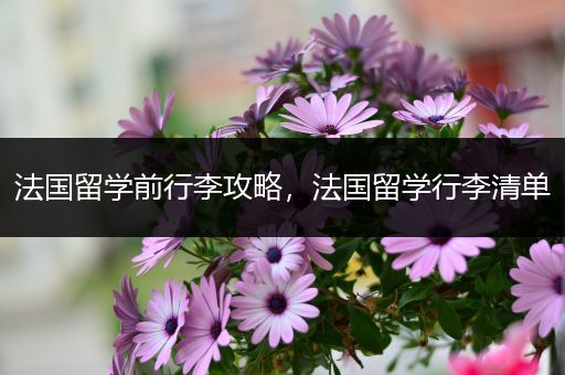 法国留学前行李攻略，法国留学行李清单
