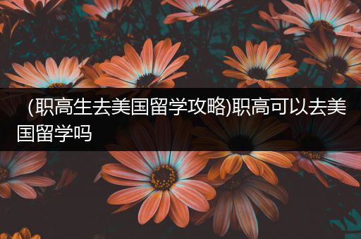 （职高生去美国留学攻略)职高可以去美国留学吗