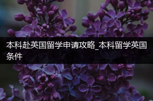 本科赴英国留学申请攻略_本科留学英国条件