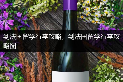 到法国留学行李攻略，到法国留学行李攻略图