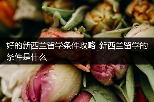 好的新西兰留学条件攻略_新西兰留学的条件是什么