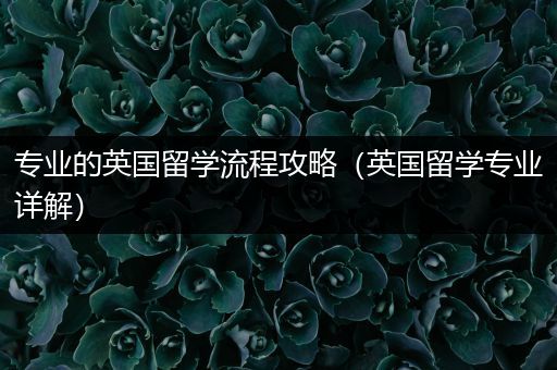 专业的英国留学流程攻略（英国留学专业详解）