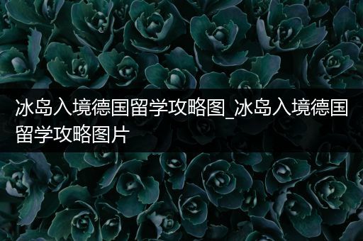 冰岛入境德国留学攻略图_冰岛入境德国留学攻略图片