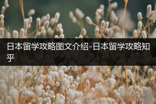 日本留学攻略图文介绍-日本留学攻略知乎