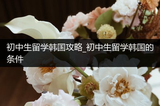 初中生留学韩国攻略_初中生留学韩国的条件