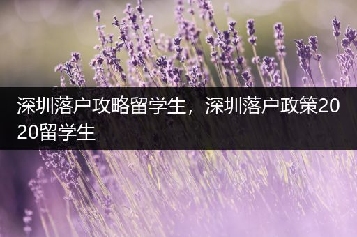 深圳落户攻略留学生，深圳落户政策2020留学生