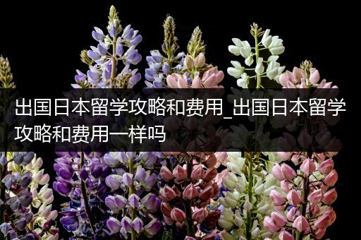 出国日本留学攻略和费用_出国日本留学攻略和费用一样吗