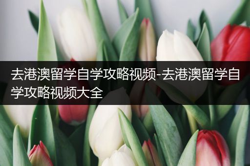 去港澳留学自学攻略视频-去港澳留学自学攻略视频大全