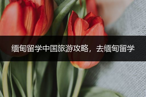 缅甸留学中国旅游攻略，去缅甸留学