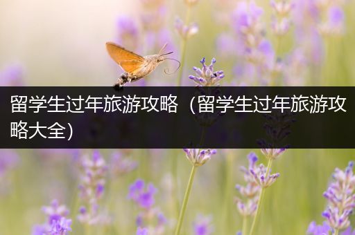 留学生过年旅游攻略（留学生过年旅游攻略大全）